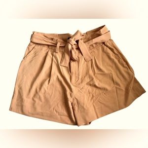 Banana Republic Shorts